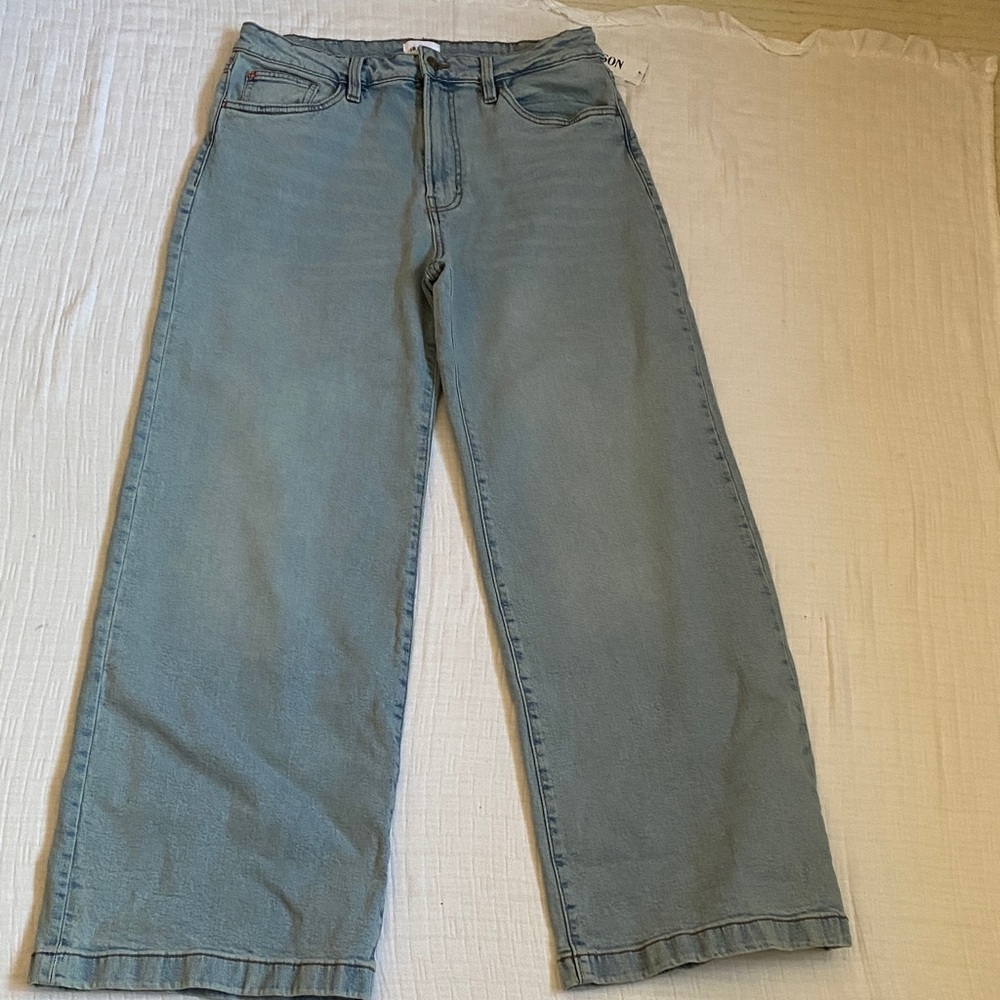 HUDSON Jeans Women's Wide Leg Pants in Light Blue